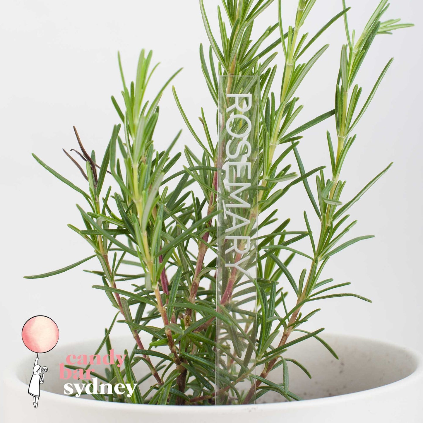 Engraved Acrylic Garden Stakes: Herb Plant Markers