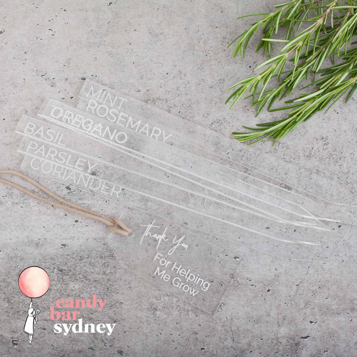Engraved Garden Stakes - Custom Garden Decorations - Acrylic Garden Stakes - Letterfy