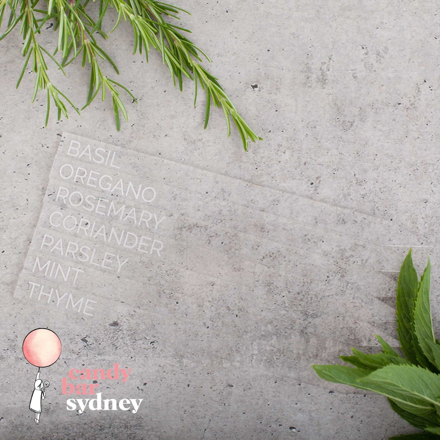 Engraved Garden Stakes - Custom Garden Decorations - Acrylic Garden Stakes - Letterfy