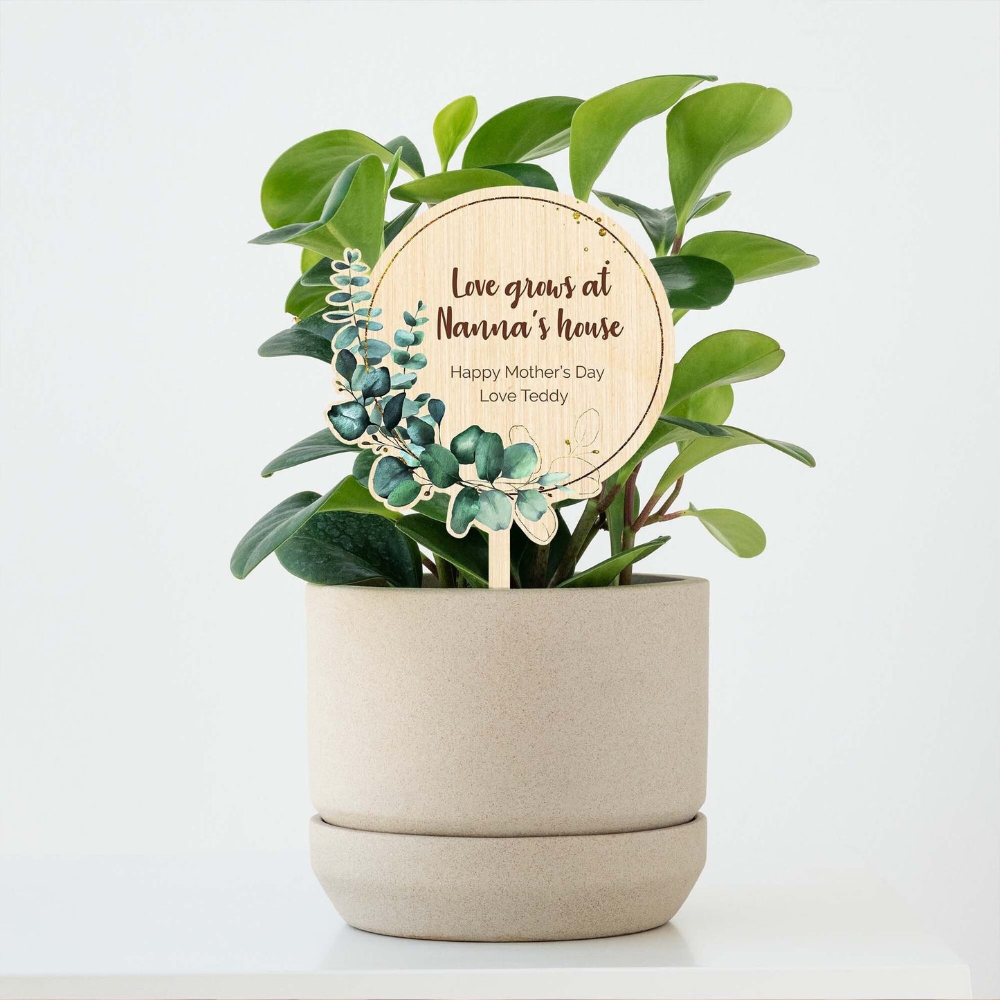 Personalised Mother's Day Eucalyptus Planter Stick - Custom Gifts - Letterfy