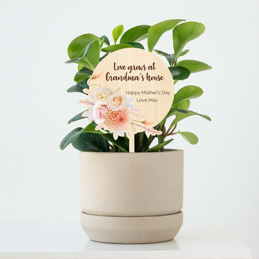 Love grows here mothers day planter